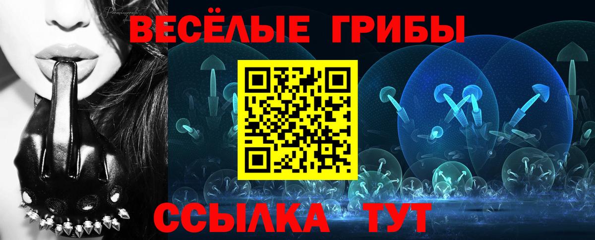 Усть-Лабинск  цена   Вход с VPN  Галлюциногенные грибы Magic Shrooms 
