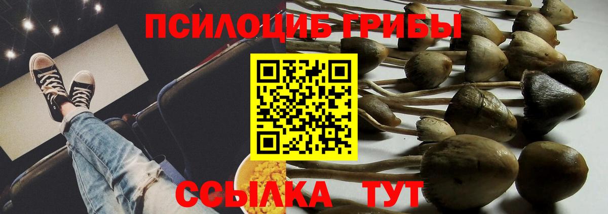 Псилоцибиновые грибы прущие грибы Усть-Лабинск